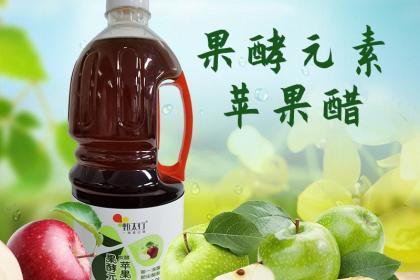 产品名称:甄太行发酵果酵苹果醋(酿造